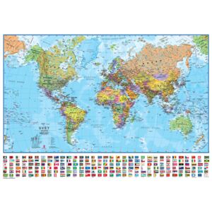 Plagát, Obraz - Politická mapa světa s vlajkami - Česky, (100 x 73 cm)