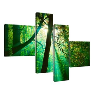 Obraz na plátne Slnečné lúče medzi stromami - Pawel Pacholec 100x70cm 1663A_4B