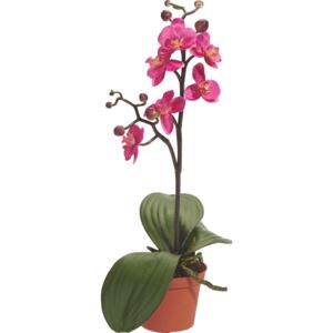 XXXLutz UMELÁ RASTLINA, orchidea