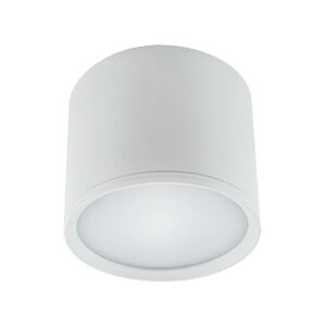 Strühm Stropné svietidlo ROLEN LED 3W WHITE Neutral White 16354
