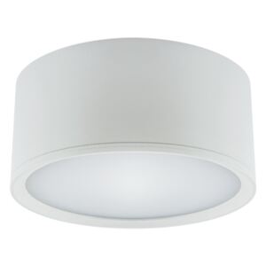Strühm Stropné svietidlo ROLEN LED 15 W WHITE Neutral White 16357
