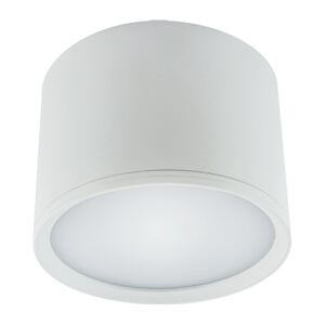 Strühm Stropné svietidlo ROLEN LED 7W WHITE Neutral White 16355