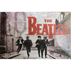 Ceduľa The Beatles 5 30cm x 20cm Plechová tabuľa