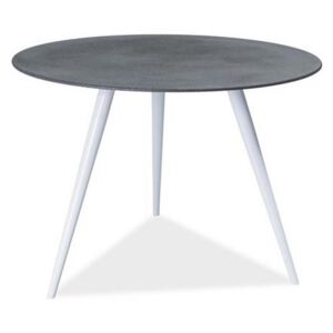 Jedálenský stôl DITA 76x100, sivá/biela