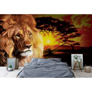 Fototapeta GLIX - Lion Sunset Africa Animals + lepidlo ZADARMO Vliesová tapeta - 312x219 cm