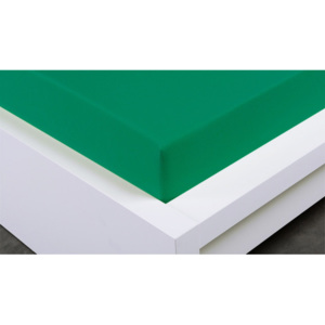 XPOSE ® Jersey prostěradlo Exclusive dvoulůžko - zelenkavá 200x220 cm