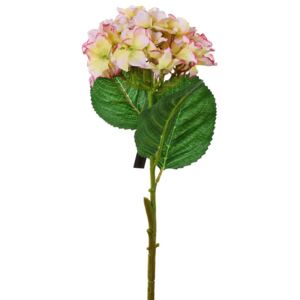 Ks hortenzia bl.ružová 50cm