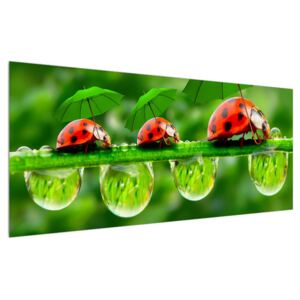 Obraz lienok sedembodkových s dáždnikmi (120x50 cm)