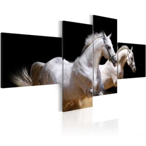 Obraz na plátne - Svět zvířat - bílí koně v trysku 200x90