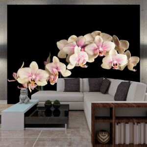Bimago Fototapeta - Blooming orchid 300x231 cm