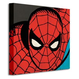 Obraz na plátne Marvel Comics (Spider Man Closeup) 40x40cm WDC95455