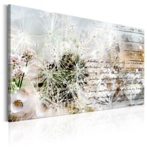 Bimago Obraz na plátne - Starry Dandelions 90x60 cm