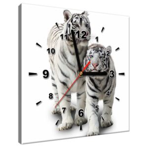 Tlačený obraz s hodinami Biele tigre ZP1270A_1AI