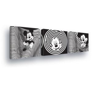 Obraz na plátne - Black and White Decoration Disney Mickey Mouse Trio 3 x 25x25 cm