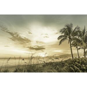 Umelecká fotografia BONITA BEACH Sunset | Vintage, Melanie Viola