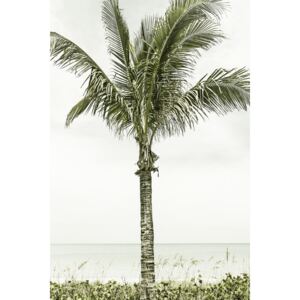 Umelecká fotografia Palm Tree at the beach | Vintage, Melanie Viola