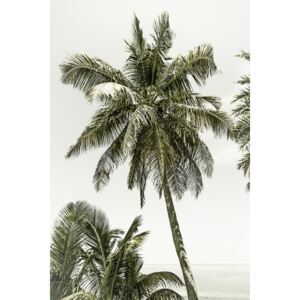 Umelecká fotografia Palm Trees at the beach | Vintage, Melanie Viola