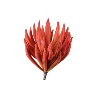Umelá kvetina Echeveria orange L´OCA NERA 1P145, H90cm
