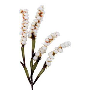 Umelá kvetina Sinforicarpo L´OCA NERA 1P152, H115cm