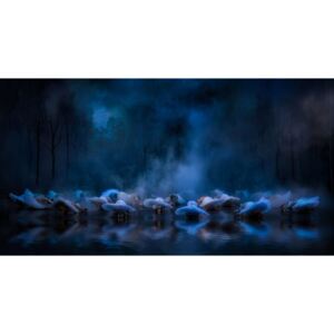 Umelecká fotografia Swans on the lake...., Charlaine Gerber