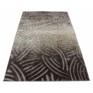 Kusový koberec Shaggy vlas 30 mm Poly hnedý, Velikosti 80x150cm