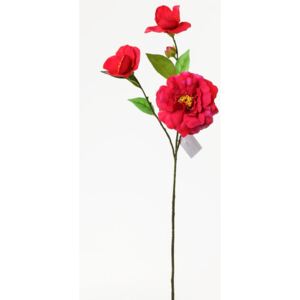 Ks camélia ružová 60cm