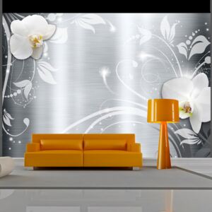 Fototapeta - Orchids on steel 300x210 cm