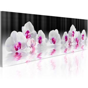 Obraz na plátne - Orchids In Water 120x40 cm