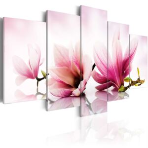 Obraz na plátne - Magnolias: pink flowers 100x50 cm