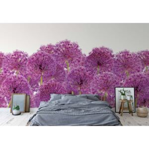 Fototapeta - Purple Flowers Papírová tapeta - 368x280 cm