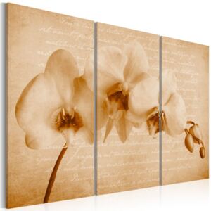 Obraz na plátne Bimago - orchidea (vintage) 60x40 cm