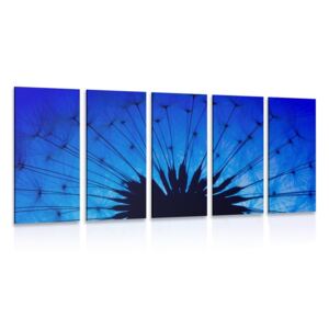 5-dielny obraz modrá púpava