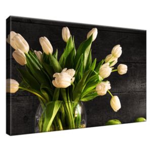 Obraz na plátne Krémové tulipány 30x20cm 1392A_1T