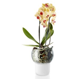 Sklenený samozavlažovací kvetináč na orchidey OE 15 cm, Eva Solo