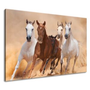 Gario Obraz na plátne Cválajúce kone Rozmery (š x v): 120 x 80 cm