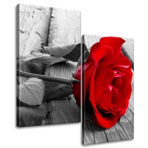 Gario Obraz na plátne Červená ruža Rozmery (š x v): 60 x 60 cm