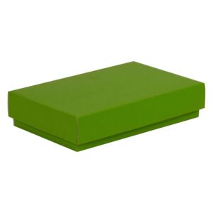 Darčeková krabička s vekom 250x150x50/40 mm, zelená