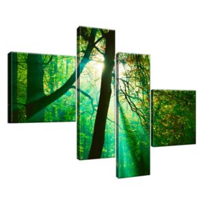Obraz na plátne Slnečné lúče medzi stromami - Pawel Pacholec 100x70cm 1663A_4B