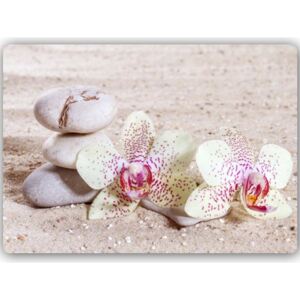 CARO Kovový obraz - Orchid And Stones On The Sand 2 40x30 cm