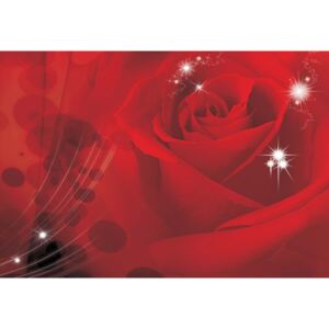 GLIX Fototapeta na dvere - Red Rose Sparkles Flowers