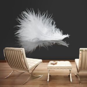 Fototapeta - White feather 250x193 cm