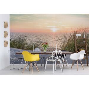 Fototapeta GLIX - Coastal Sand Dunes Beach Sunset + lepidlo ZADARMO Vliesová tapeta - 254x184 cm
