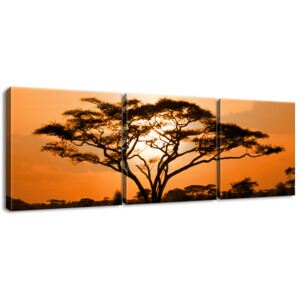 Gario Obraz na plátne Nádherná africká krajina Rozmery (š x v): 90 x 30 cm