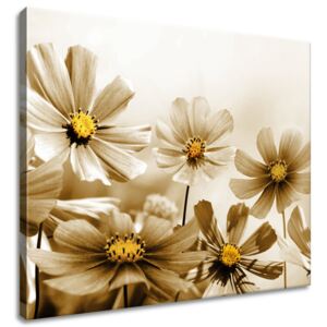 Gario Obraz na plátne Kvetnatá krása Rozmery (š x v): 60 x 50 cm
