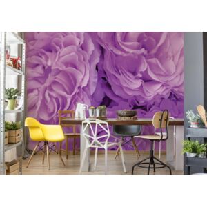 Fototapeta - Soft Purple Flowers Vliesová tapeta - 250x104 cm