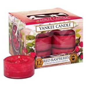 Súprava 12 vonných sviečok Yankee Candle Red Raspberry, doba horenia 4 h