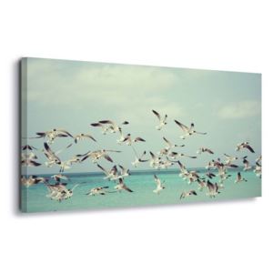 Obraz na plátne - Vintage Seagulls 60x40 cm