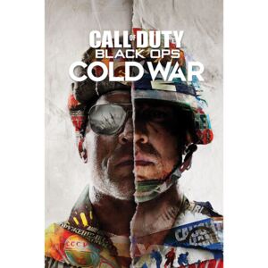 Plagát, Obraz - Call of Duty: Black Ops Cold War - Split, (61 x 91,5 cm)