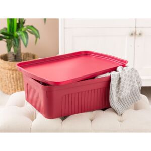 Plastový úložný box s vekom, Denys Barva: Červená, velikost: M - 46,3 x 31 x 15,5 cm