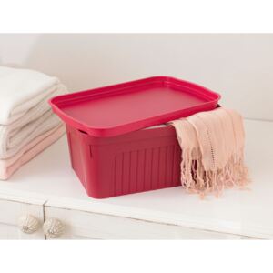 Plastový úložný box s vekom, Denys Barva: Červená, velikost: S - 33 x 21,5 x 14,5 cm